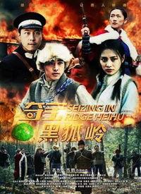 黑狐在线观看,暗网风云,揭秘网络世界的神秘较量 第3张 黑狐在线观看,暗网风云,揭秘网络世界的神秘较量 第3张