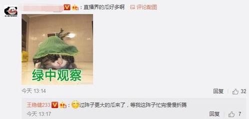 忍无可忍爆料视频下载,揭秘惊人内幕，真相令人震惊！  第1张