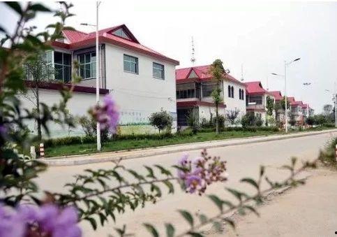 江西房东同村爆料最新消息,揭秘某村惊人内幕！  第1张